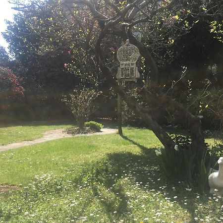 La Pallanzotta Verbania Exteriér fotografie