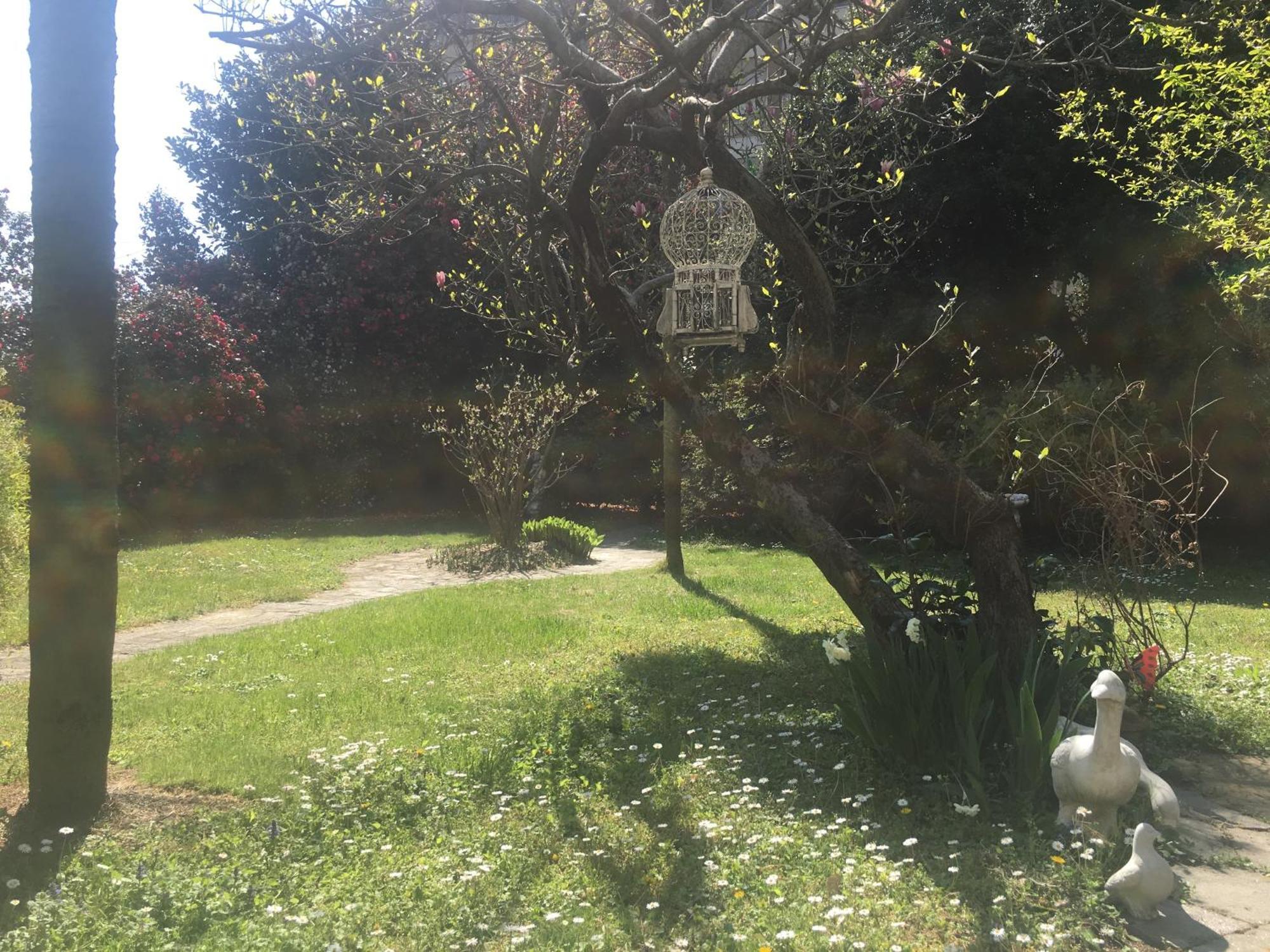 La Pallanzotta Verbania Exteriér fotografie